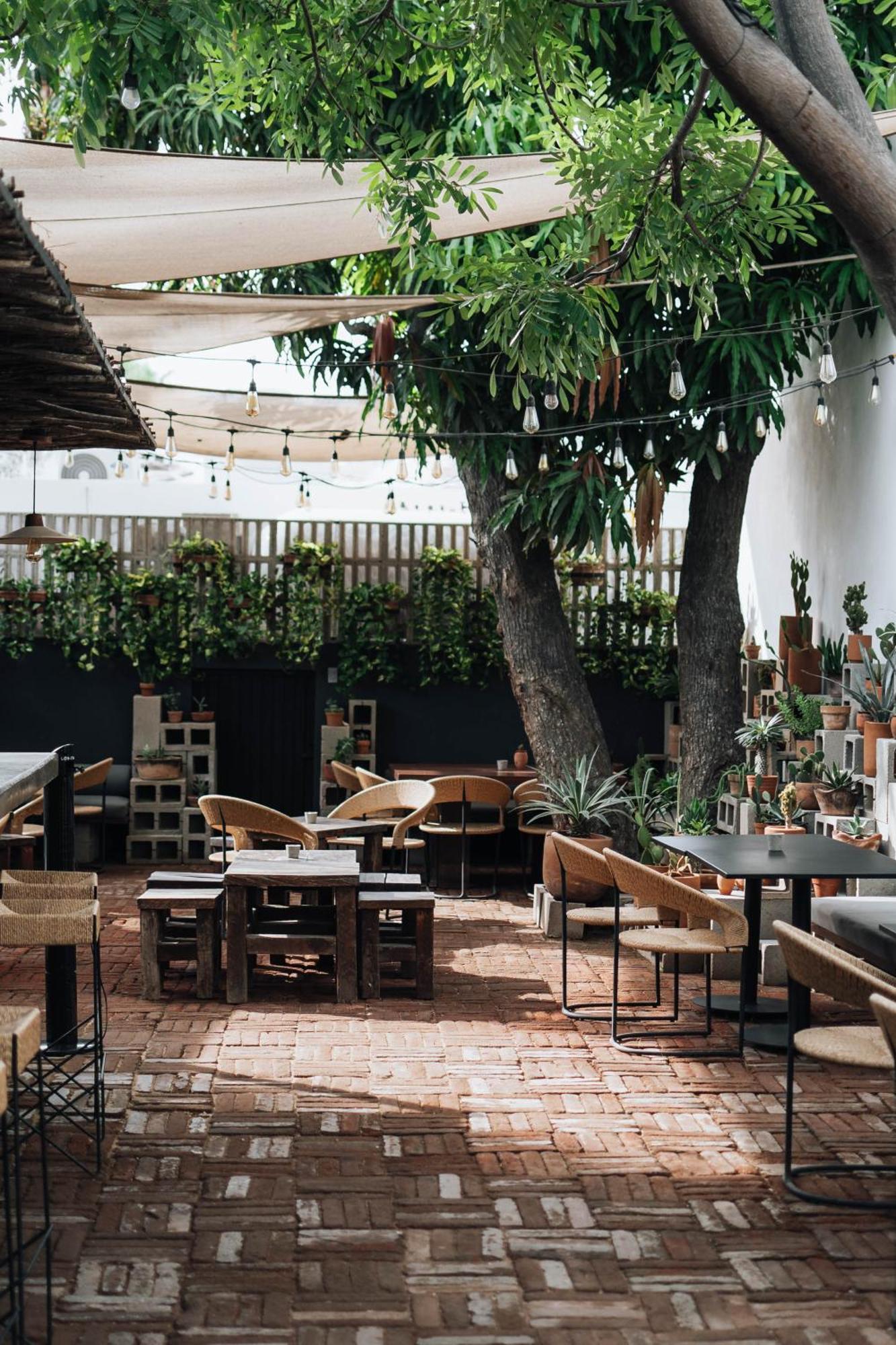 Drift San Jose Del Cabo, A Member Of Design Hotels 外观 照片
